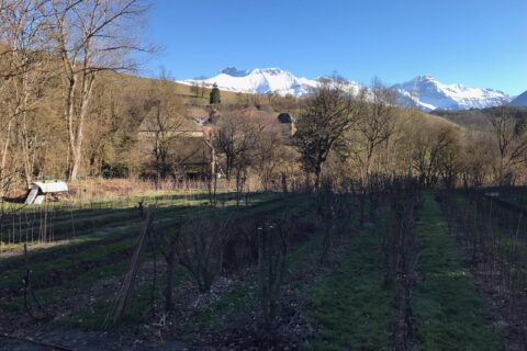 Expéditions des arbres à domicile